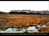 Historic Monticello Area Part 2 - 45